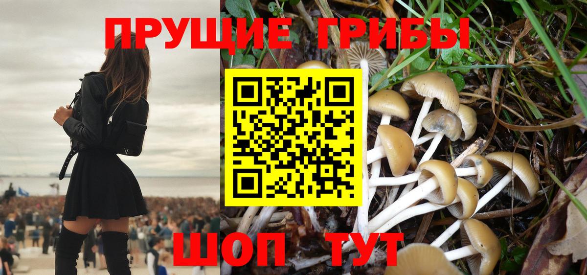 Галлюциногенные грибы ЛСД  Вход с VPN  Тихорецк 